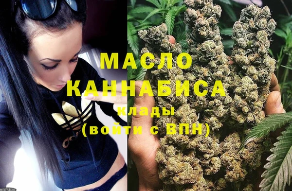 тгк Медногорск