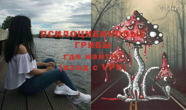 молекула духа Магадан