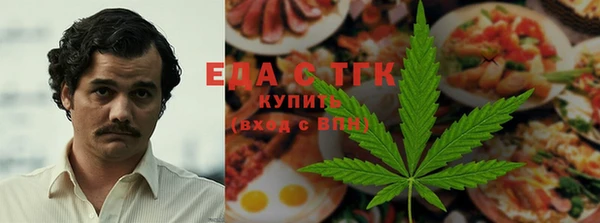 тгк Медногорск
