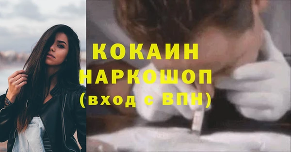 прущие грибы Протвино