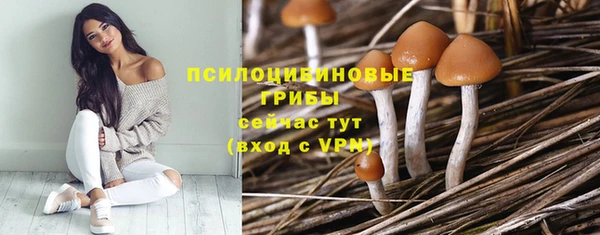тгк Медногорск