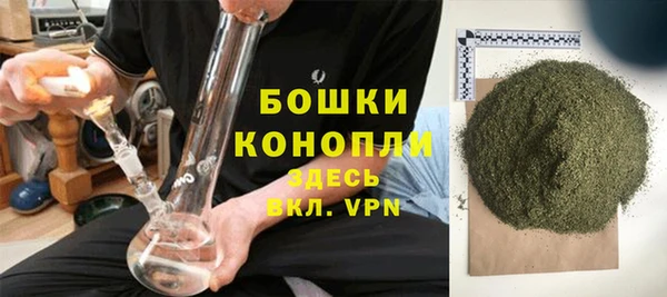 молекула духа Магадан