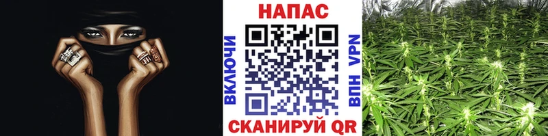 где купить наркоту Никольское Бошки Шишки семена